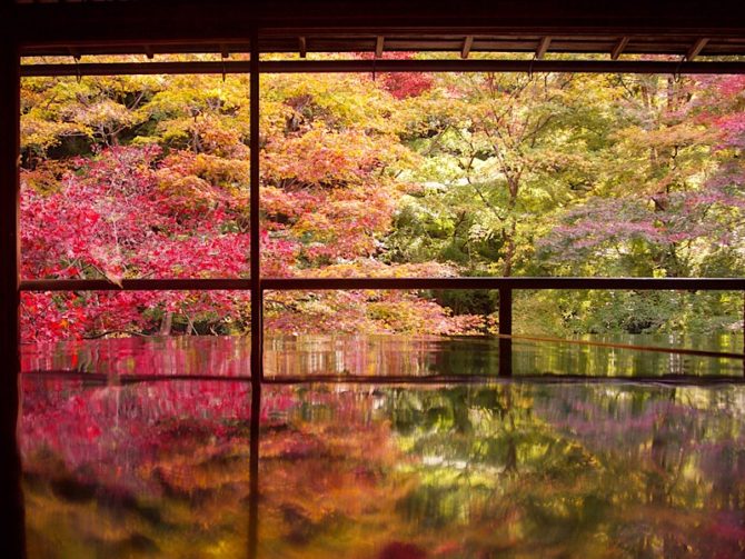 京都の瑠璃光院