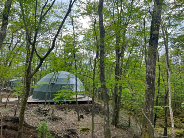 MOSS十里木キャンプリゾートドームテント