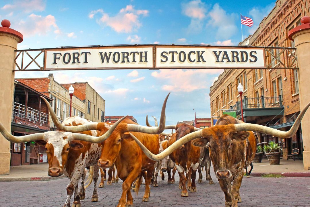 3. テキサス州フォートワース： 真の西部劇を体験するためにサドルに乗る