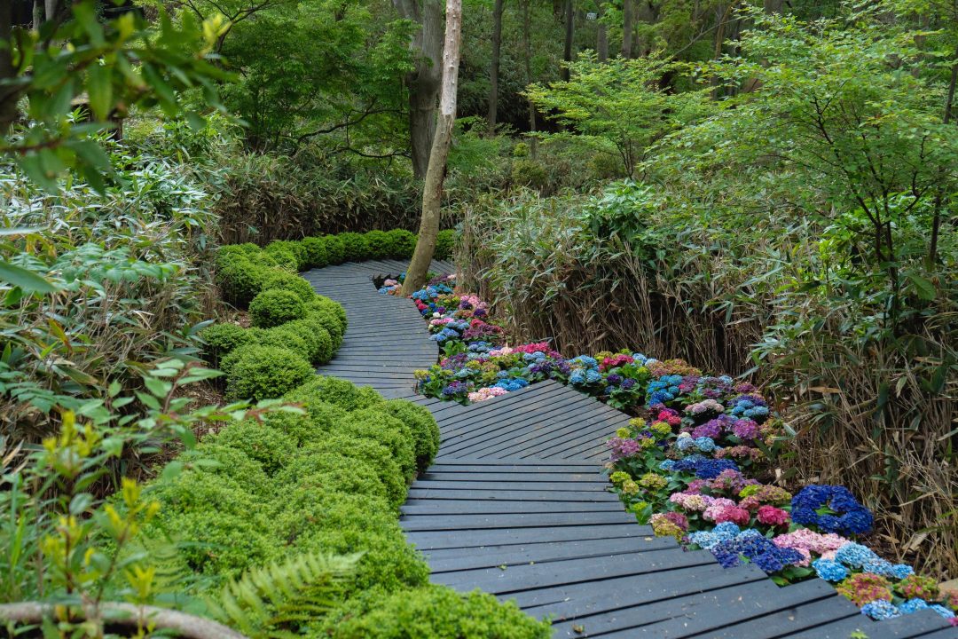 箱根まとめ
