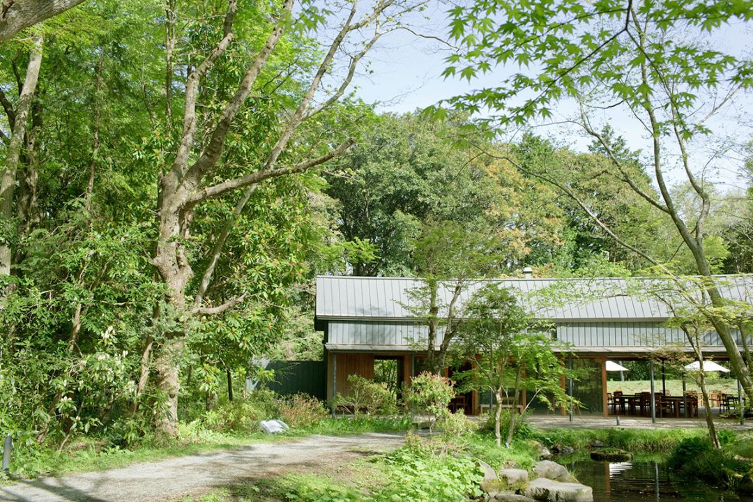 箱根まとめ