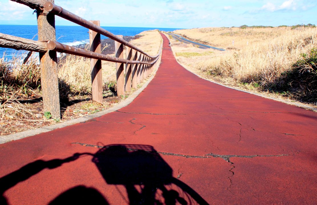 伊豆大島