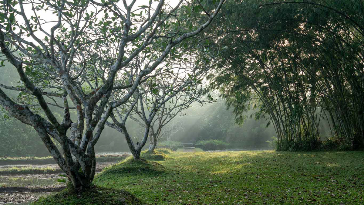 Lunuganga Estate