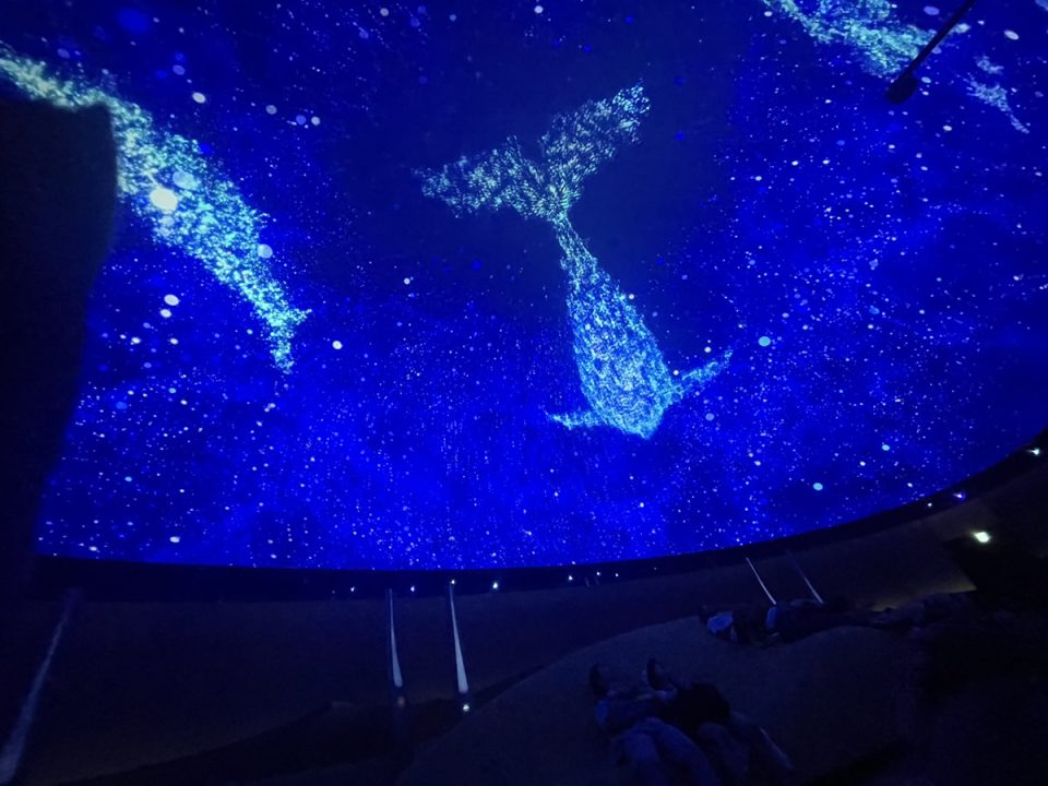 クウェート