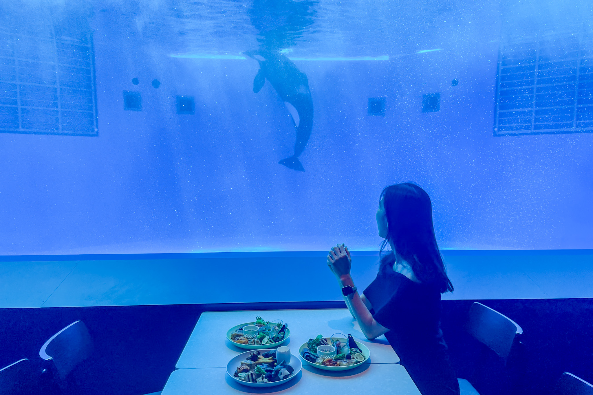 神戸須磨シーワールド