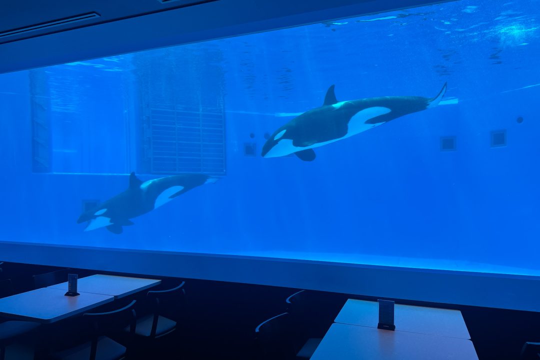 神戸須磨シーワールド