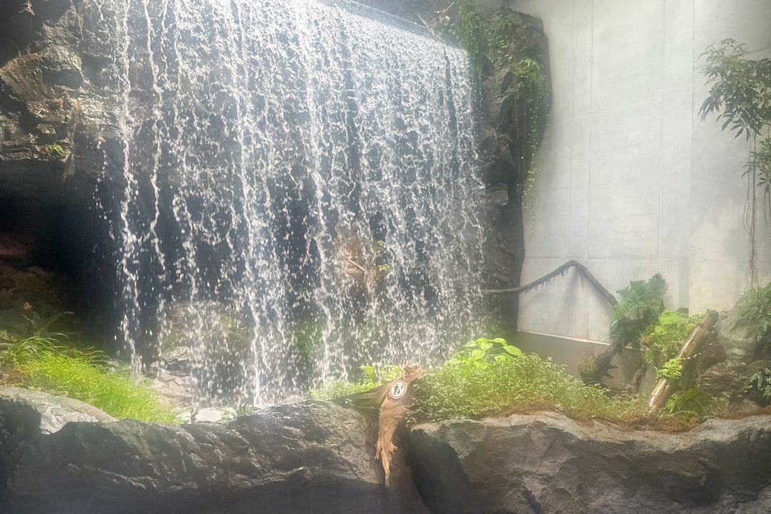 神戸須磨シーワールド