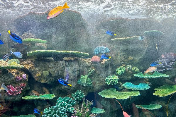 神戸須磨シーワールド