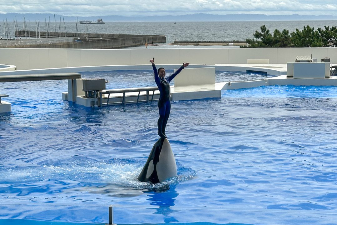 神戸須磨シーワールド