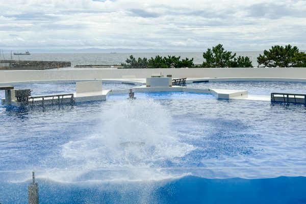 神戸須磨シーワールド