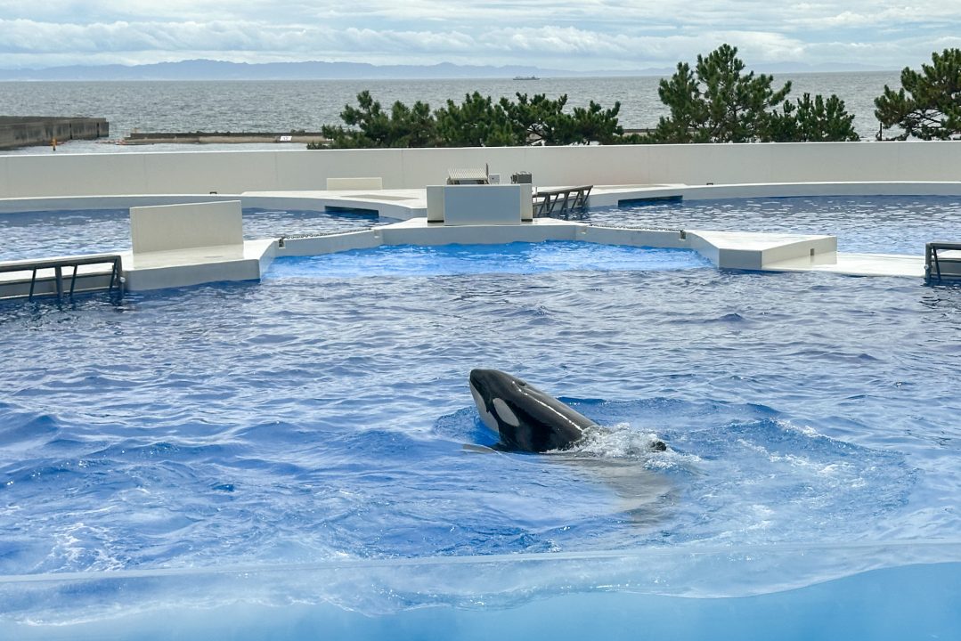 神戸須磨シーワールド