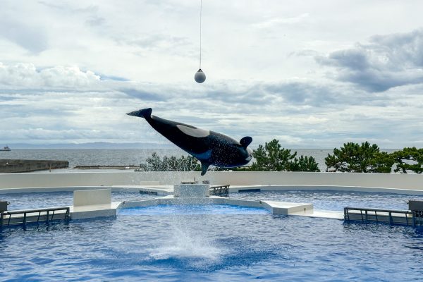 神戸須磨シーワールド