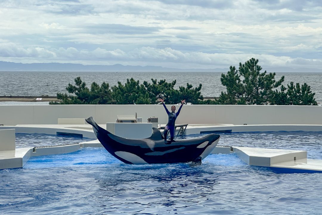 神戸須磨シーワールド