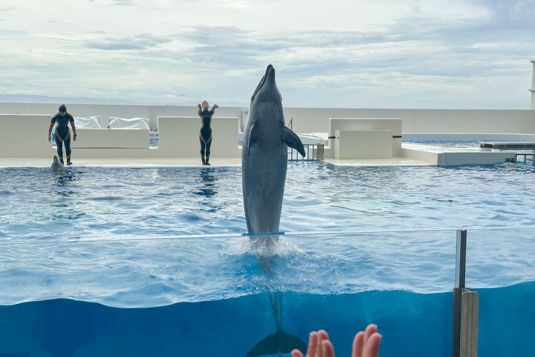 神戸須磨シーワールド
