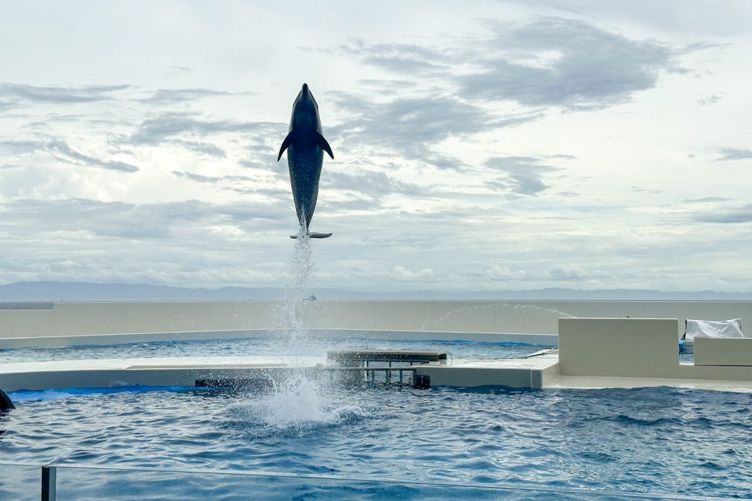 神戸須磨シーワールド