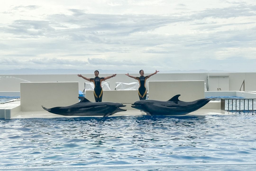 神戸須磨シーワールド