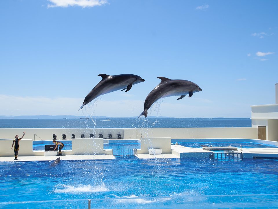 神戸須磨シーワールド